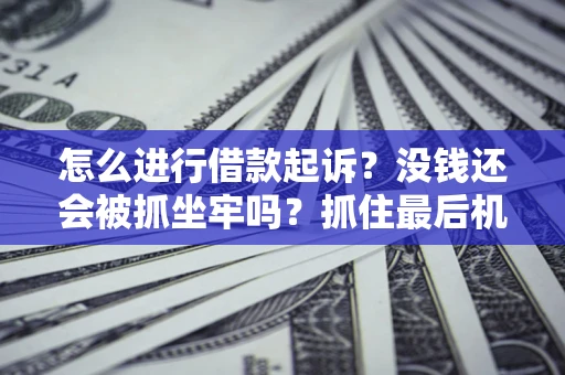 北京怎么进行借款起诉？没钱还会被抓坐牢吗？抓住最后机会！