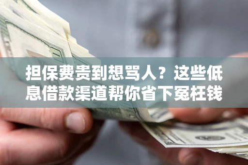 北京担保费贵到想骂人？这些低息借款渠道帮你省下冤枉钱