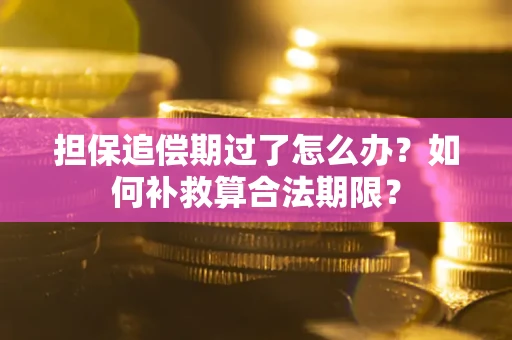 北京担保追偿期过了怎么办？如何补救算合法期限？