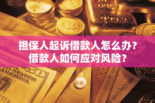 北京担保人起诉借款人怎么办？借款人如何应对风险？