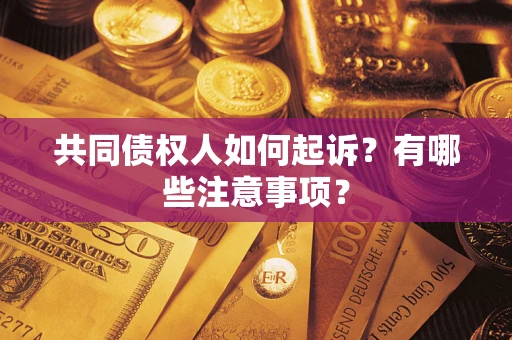北京共同债权人如何起诉？有哪些注意事项？