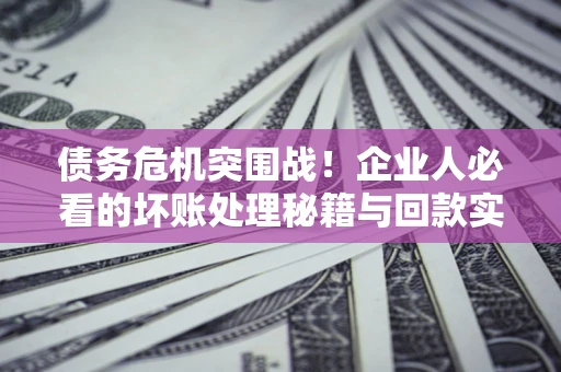 北京债务危机突围战！企业人必看的坏账处理秘籍与回款实战指南